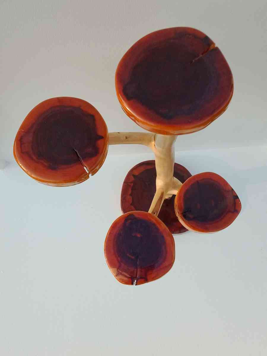 jaw dropping cedar display piece - Christiana, Tennessee - FleaMarketBay