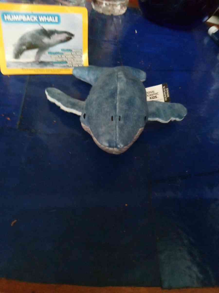 National Geographic humpback whale - Pawtucket, Rhode Island - FleaMarketBay