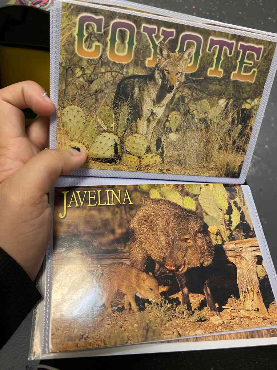 picture album - La Porte, Texas - FleaMarketBay