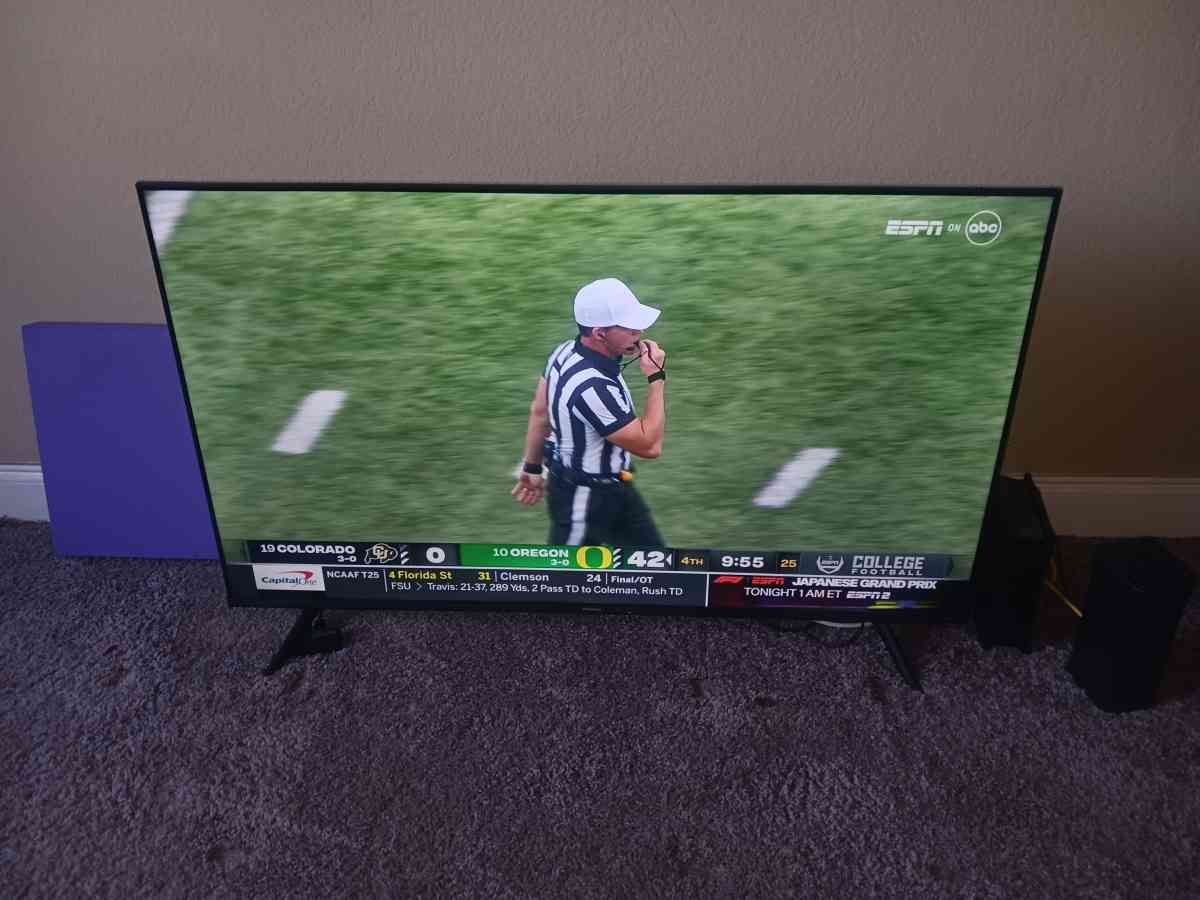 50 Inch Smart TV - Palm Harbor, Florida - FleaMarketBay