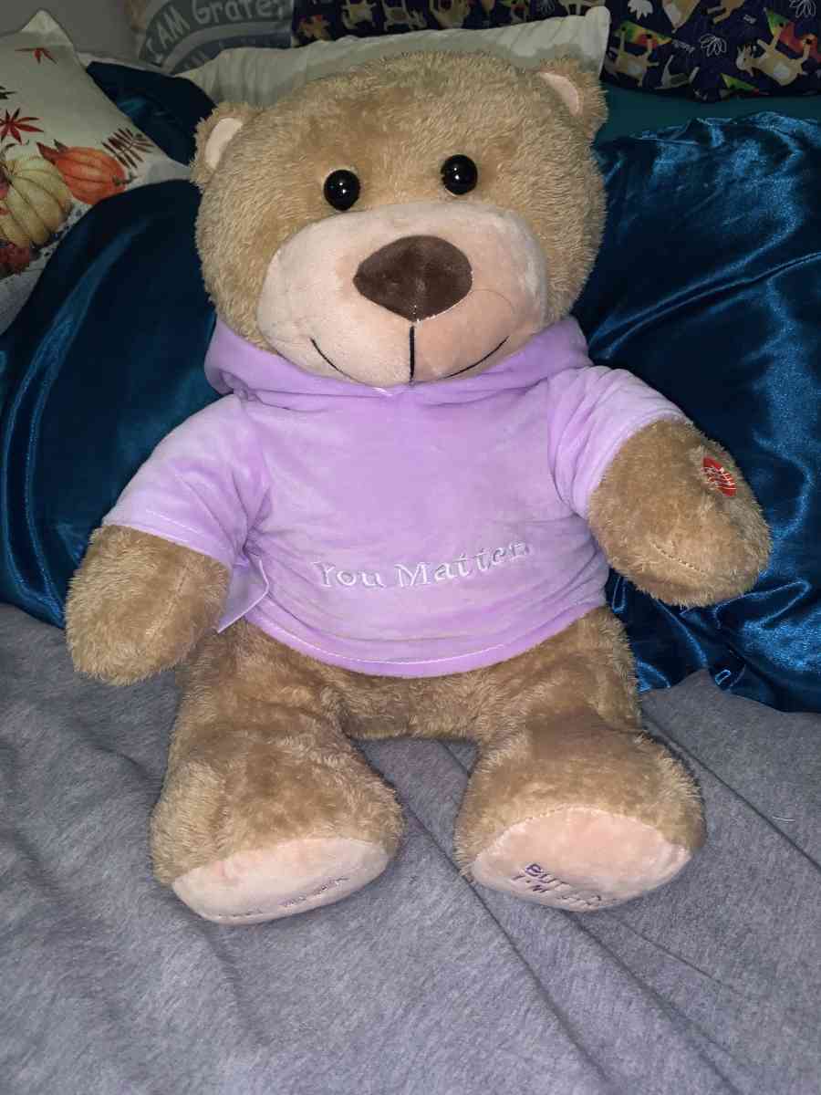 light brown ORIGINAL YOU MATTER voice recording bear