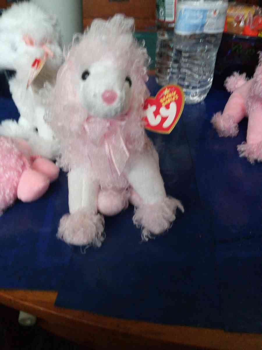 TY BEANIE DivalIghtful - Pawtucket, Rhode Island - FleaMarketBay