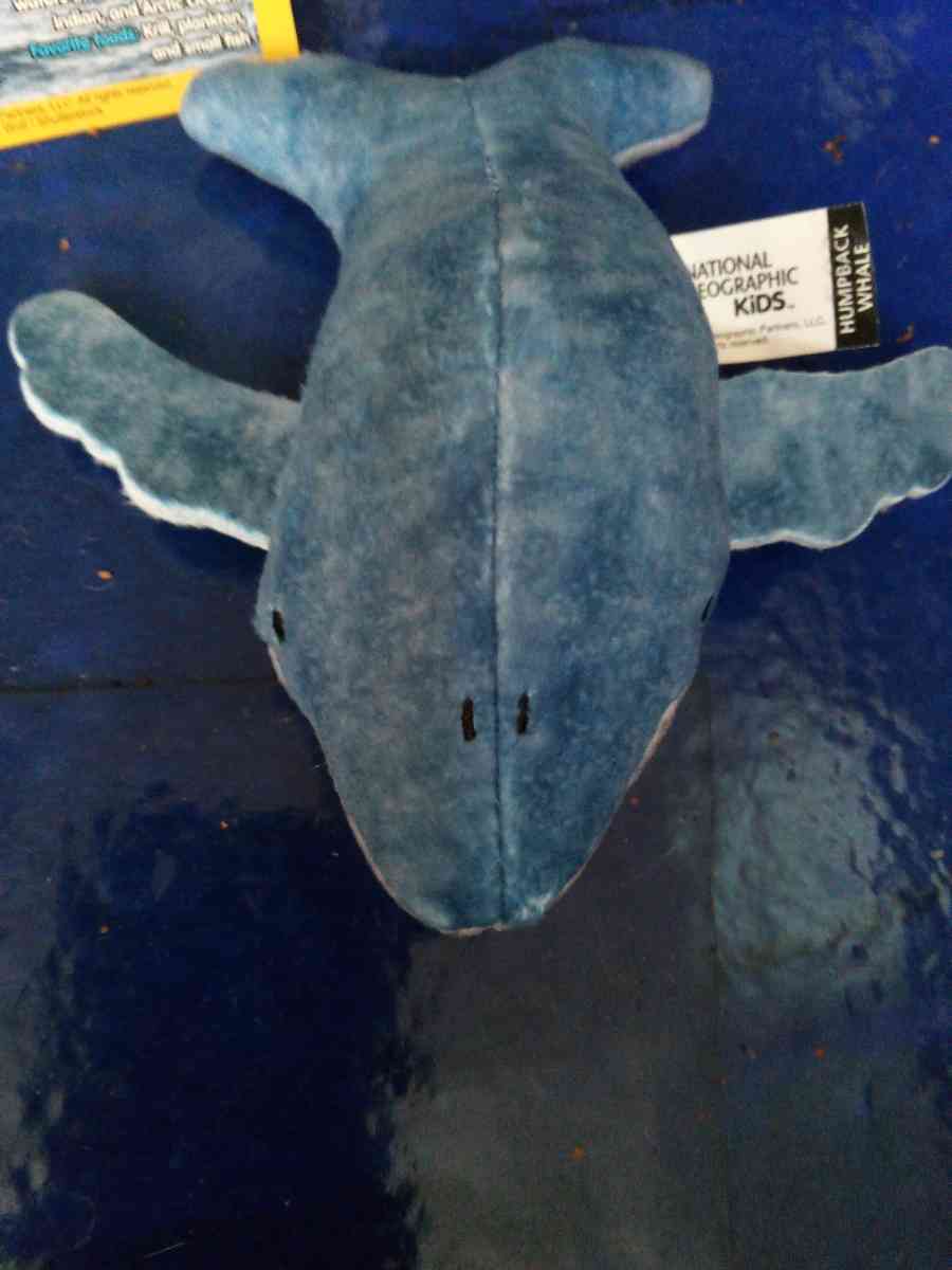 National Geographic humpback whale - Pawtucket, Rhode Island - FleaMarketBay