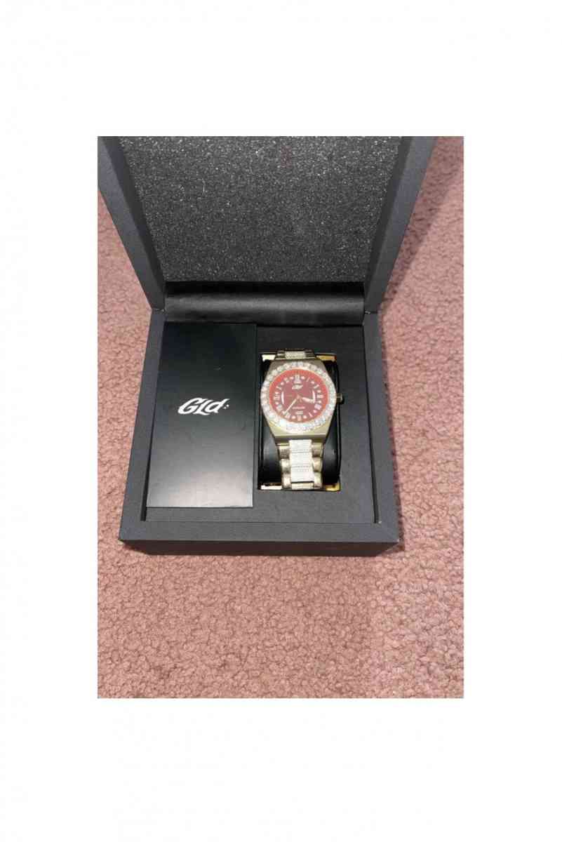 ALPAH ERA ICED OUT WATCH - Ann Arbor, Michigan