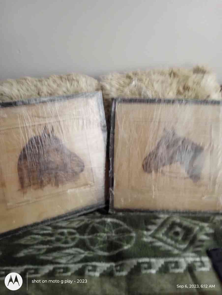 A set of RH Palinskes  Horse pictures in frames - San Antonio, Texas