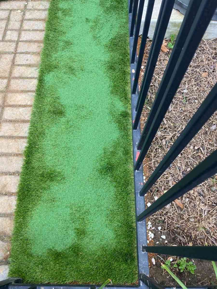 landscape - Alicia, Arkansas - FleaMarketBay