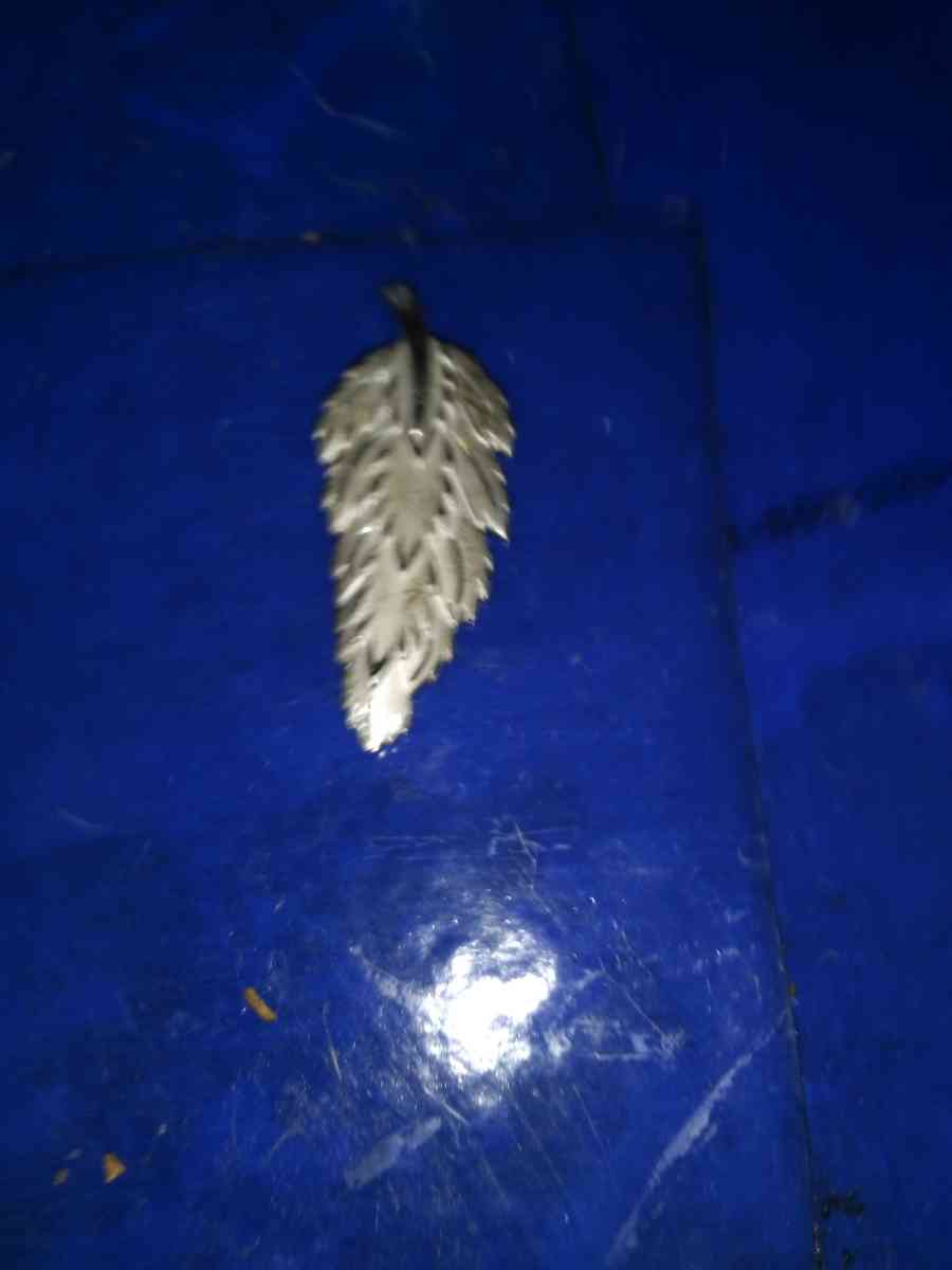 Sterling Silver Leaf Pin - Pawtucket, Rhode Island - FleaMarketBay
