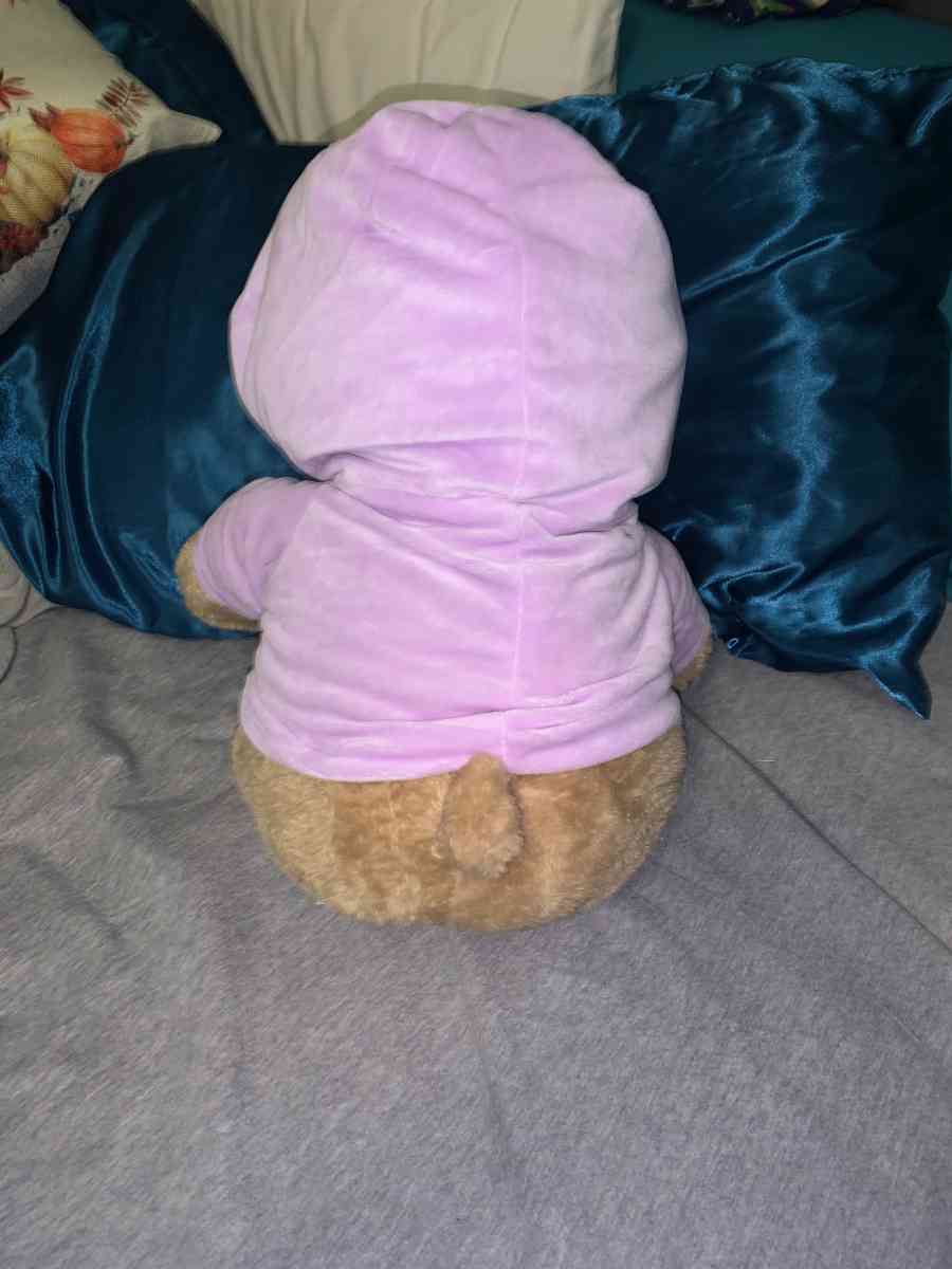 light brown ORIGINAL YOU MATTER voice recording bear - Laurel, Maryland - FleaMarketBay