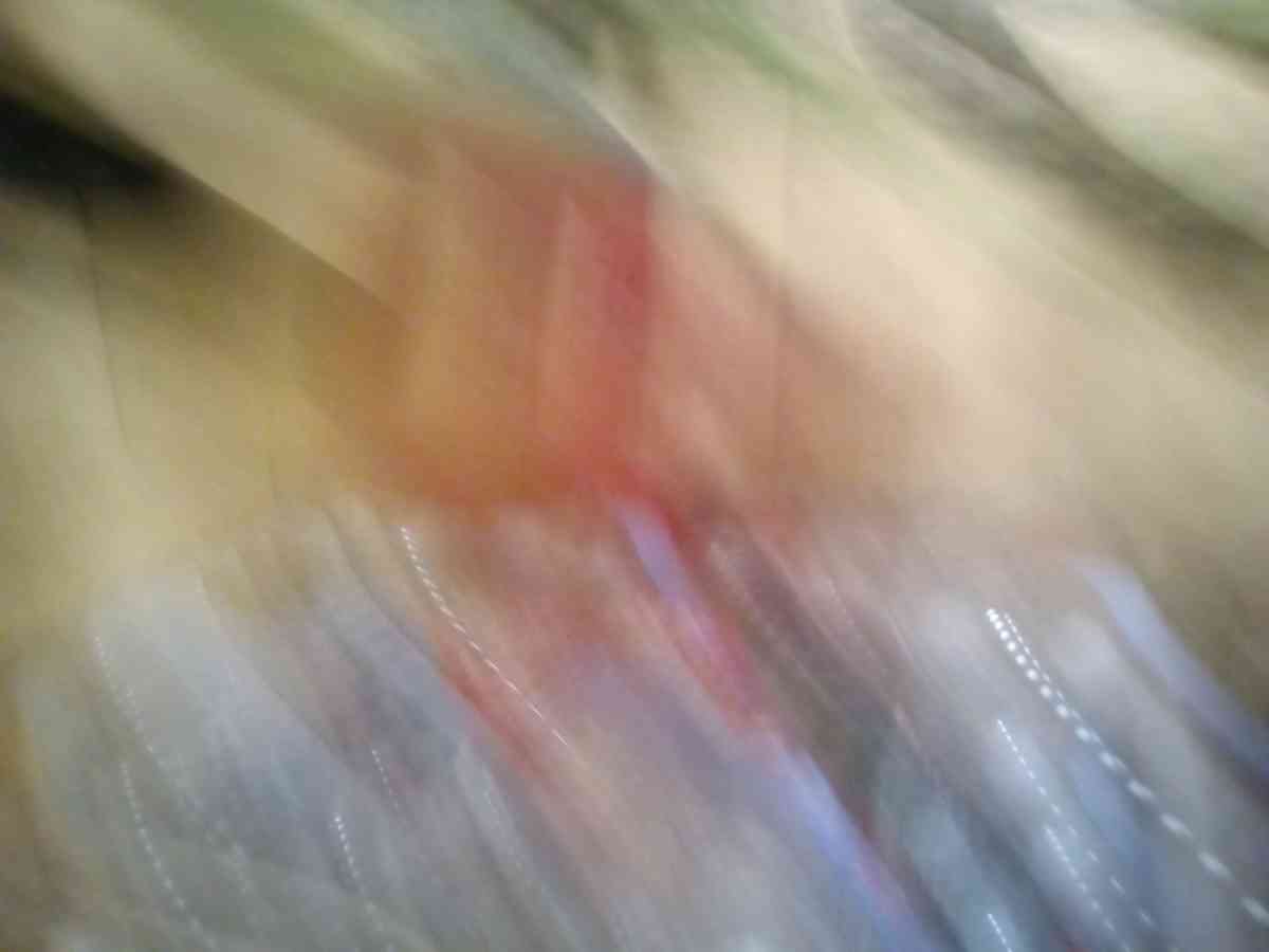 lnice 20inch trick bike - Long Beach, California - FleaMarketBay