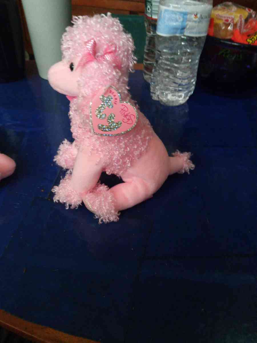 7inch TY PINKY POO - Pawtucket, Rhode Island - FleaMarketBay