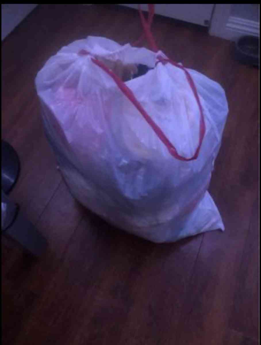 baby clothes - Phelan, California