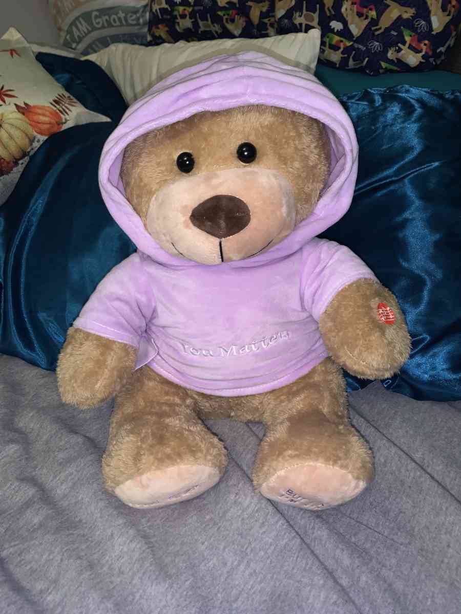 light brown ORIGINAL YOU MATTER voice recording bear - Laurel, Maryland - FleaMarketBay