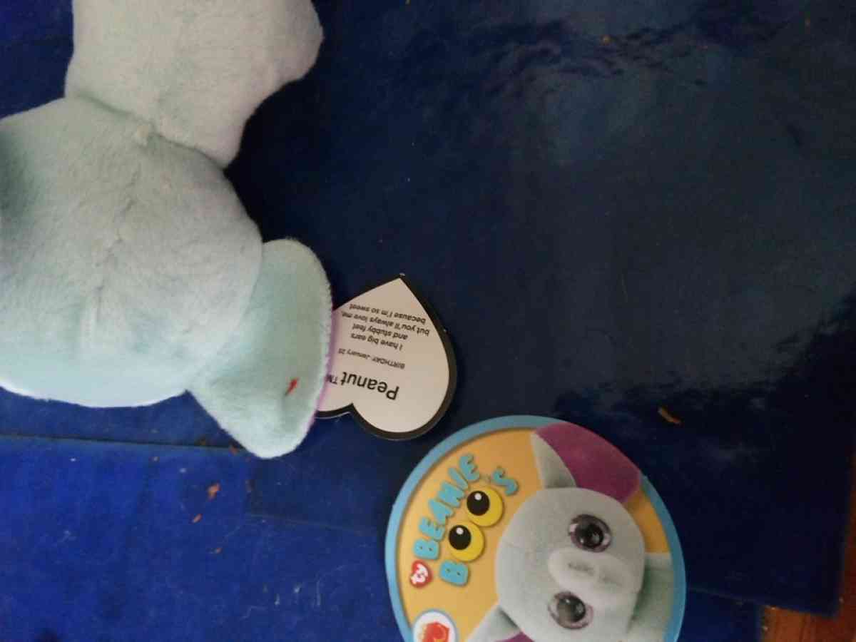 TY BEANIE BOO  PEANUT THE ELEPHANT - Pawtucket, Rhode Island - FleaMarketBay