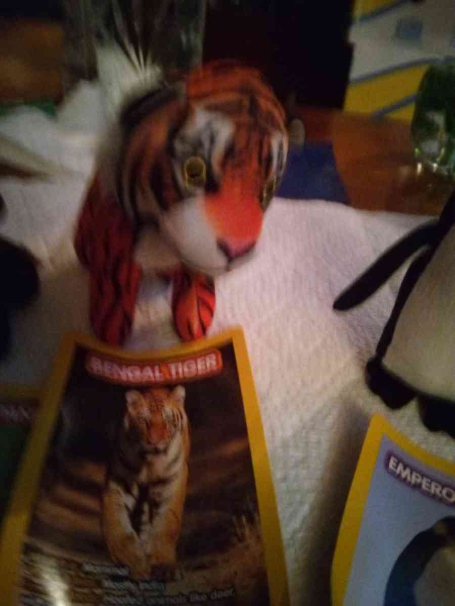 5 National Geographic Kids plush toys - Pawtucket, Rhode Island - FleaMarketBay