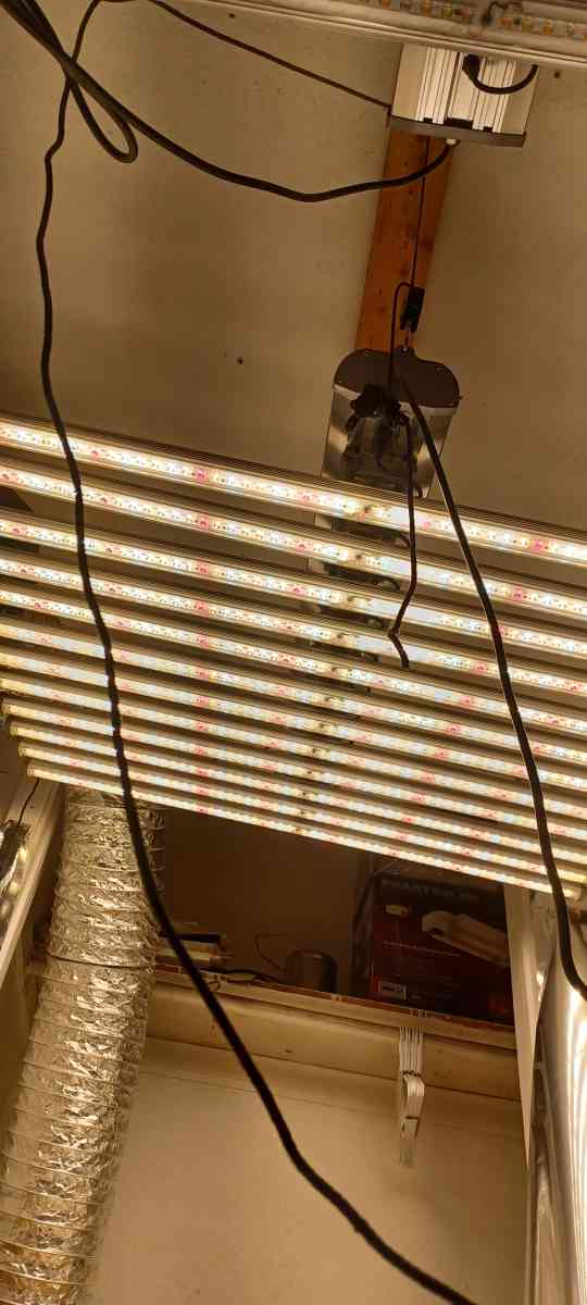 LED Grow Light 720 Watts - Atwater, California