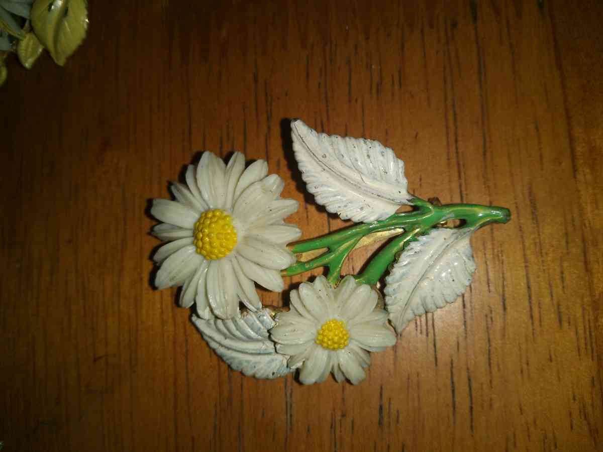 5 1950s 60s Lucite and ename Flower Pins - Pawtucket, Rhode Island - FleaMarketBay