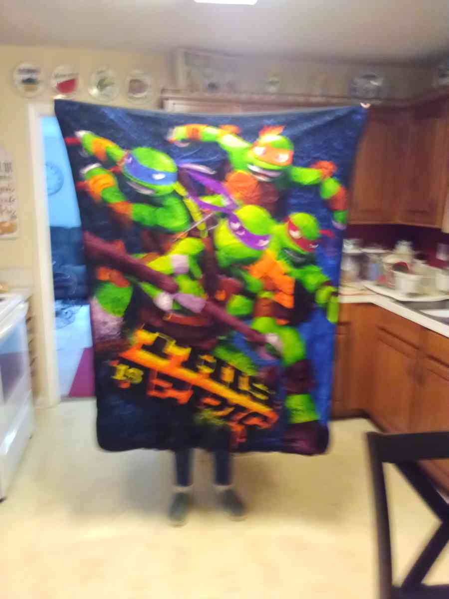 ninja turtles blanket - Mount Holly, North Carolina - FleaMarketBay
