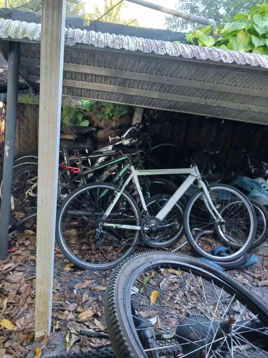 mountain bike - Dade City, Florida