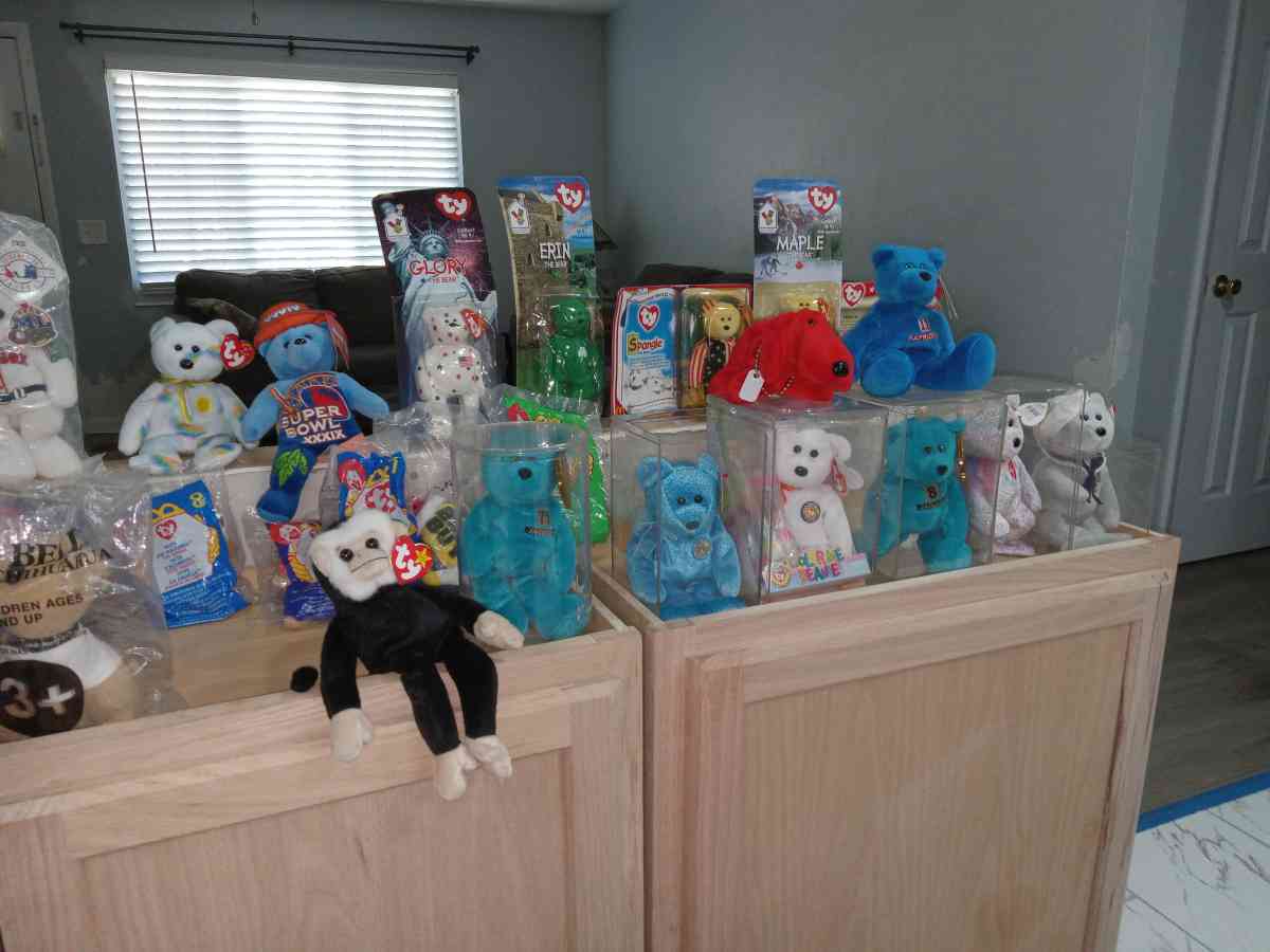 Beanie baby collection and NASCAR collection - Orange Park, Florida - FleaMarketBay