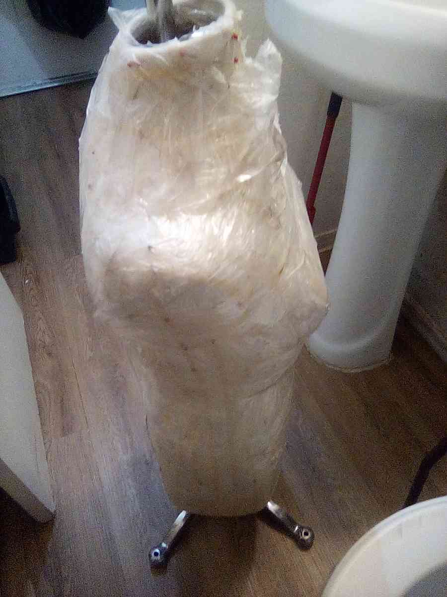 Female Dress Form Mannequin - Phoenix, Arizona