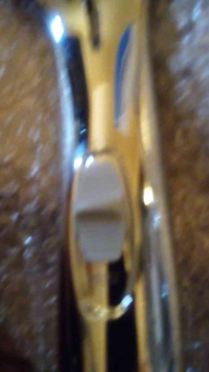 spa Brand shower head  stainless steel Hose easy attachment - Buffalo, New York - FleaMarketBay