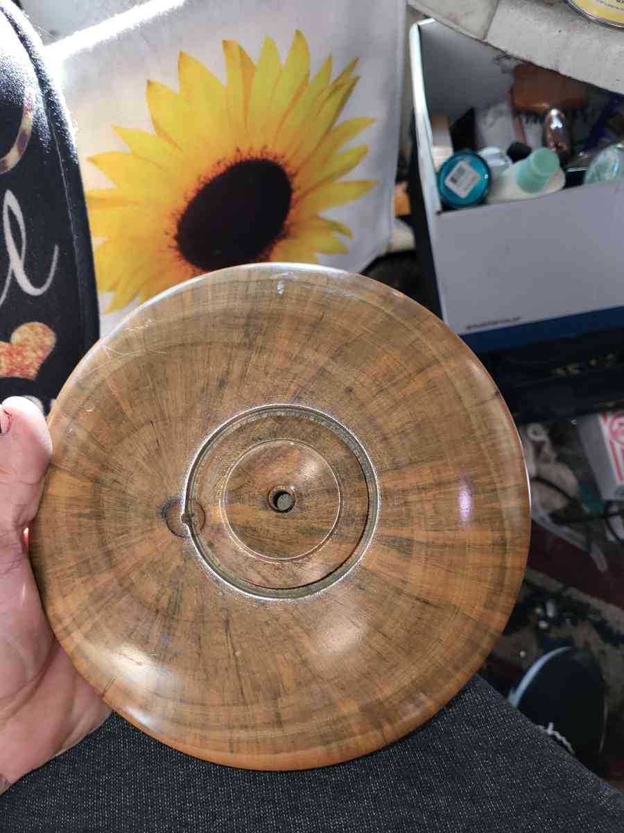 norfolk island pine vessel - Wildwood, Florida - FleaMarketBay