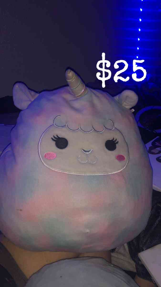 Squishmallows - Citrus Heights, California