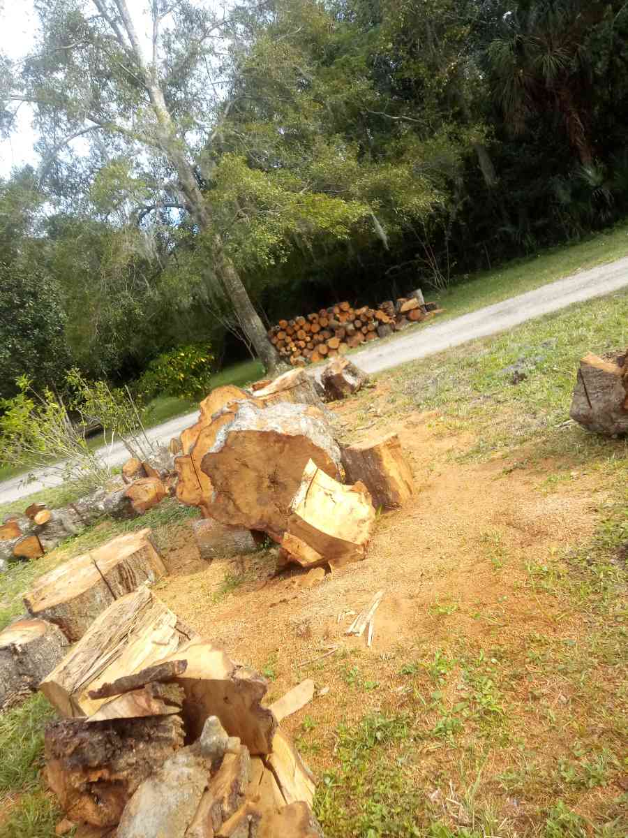 seasoned firewood - Jacksonville, Florida - FleaMarketBay