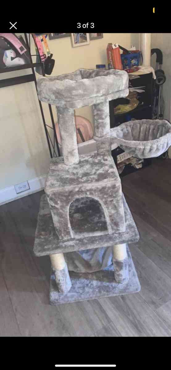 cat play area - Columbia, Pennsylvania