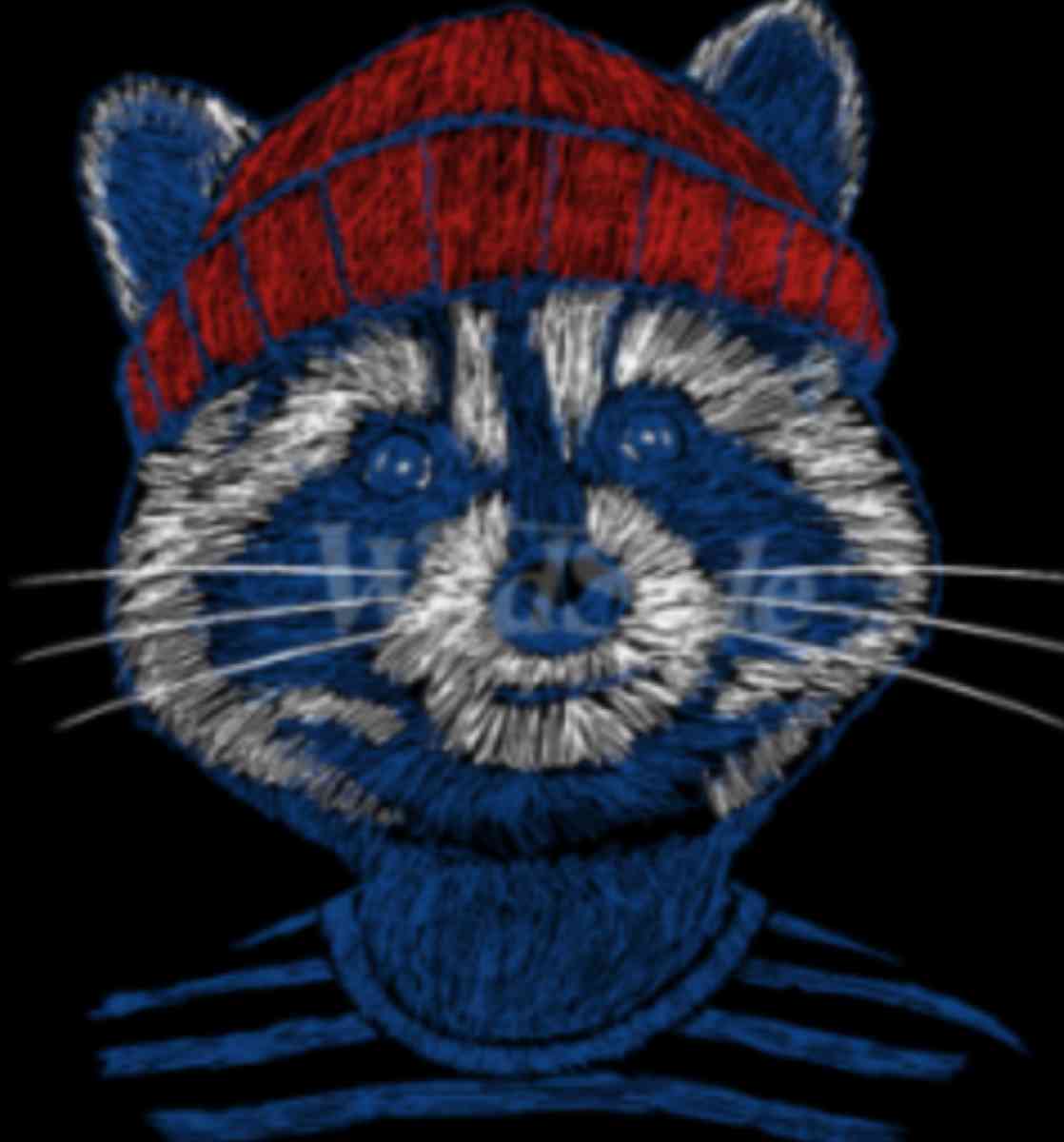 MENS STYLISH RACCOON IN A BEANIE GRAPHIC T SHIRT - Pittsburgh, Pennsylvania