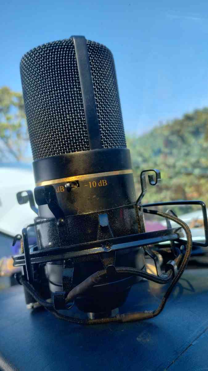 MXL 770 Vintage White Condenser Microphone - Grover Beach, California