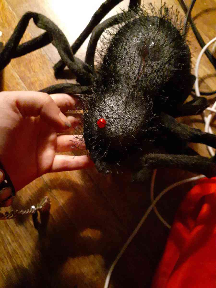 black spider decor for Halloween - Baltimore, Maryland
