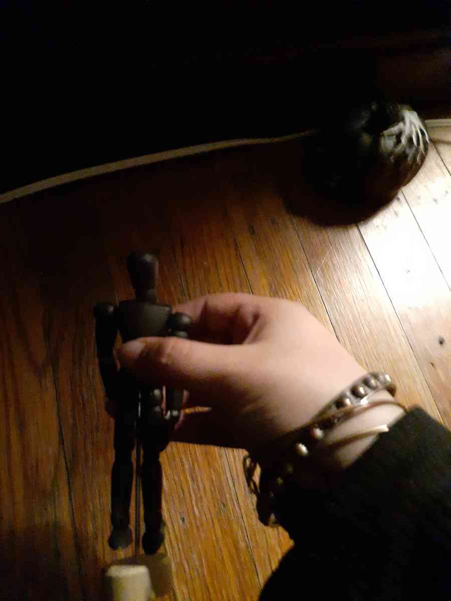 black mannequin doll - Baltimore, Maryland