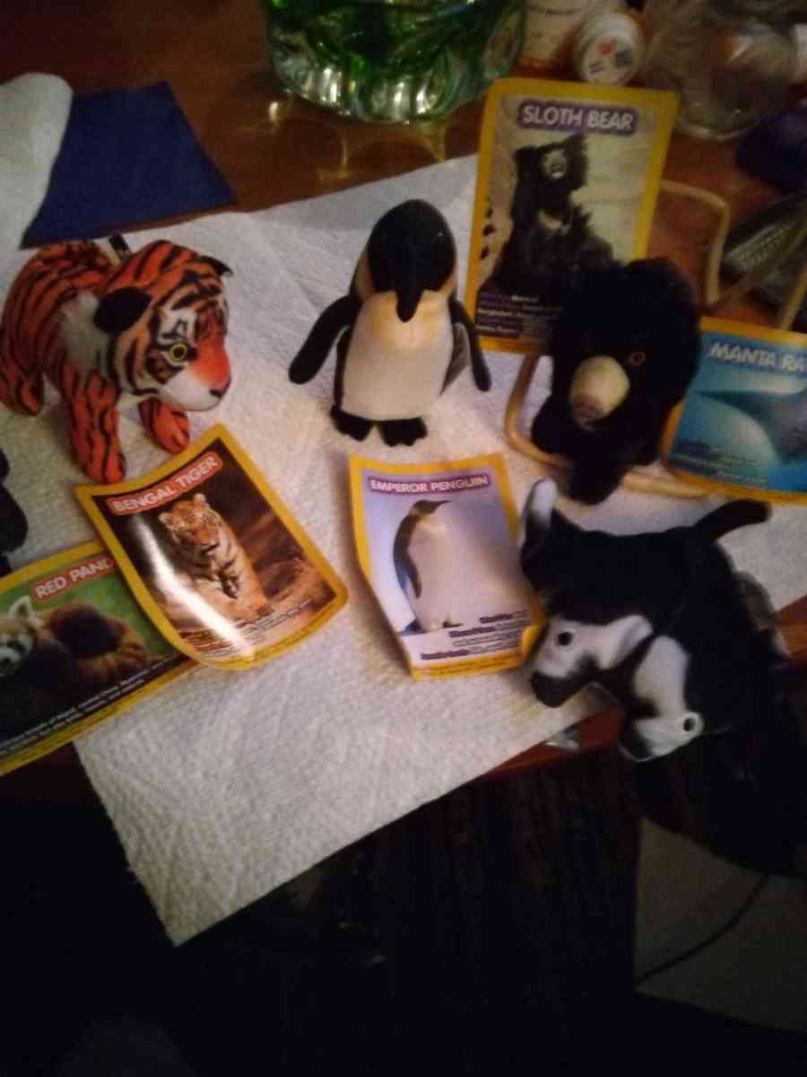 5 National Geographic Kids plush toys - Pawtucket, Rhode Island - FleaMarketBay