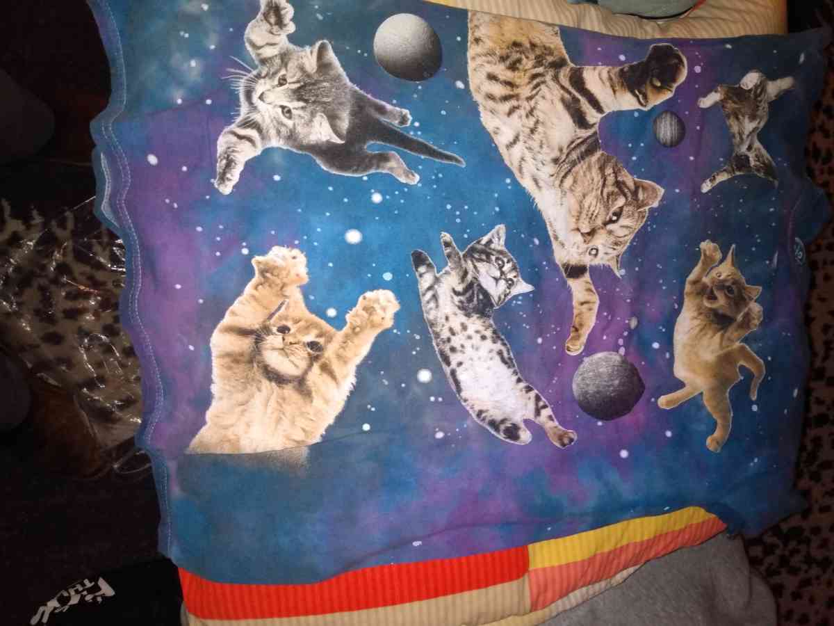 CATS IN SPACE TSHIRT - Mill Creek, Washington - FleaMarketBay