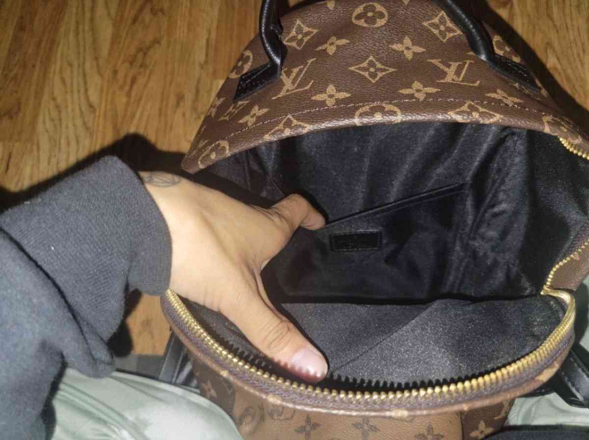 Louis Vuitton Palm Springs Mini - Omaha, Nebraska - FleaMarketBay