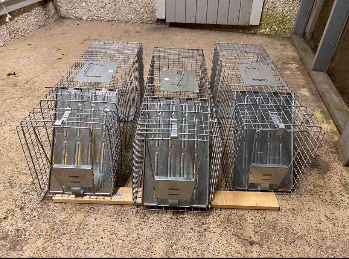 Animal Traps - Jacksonville, Florida