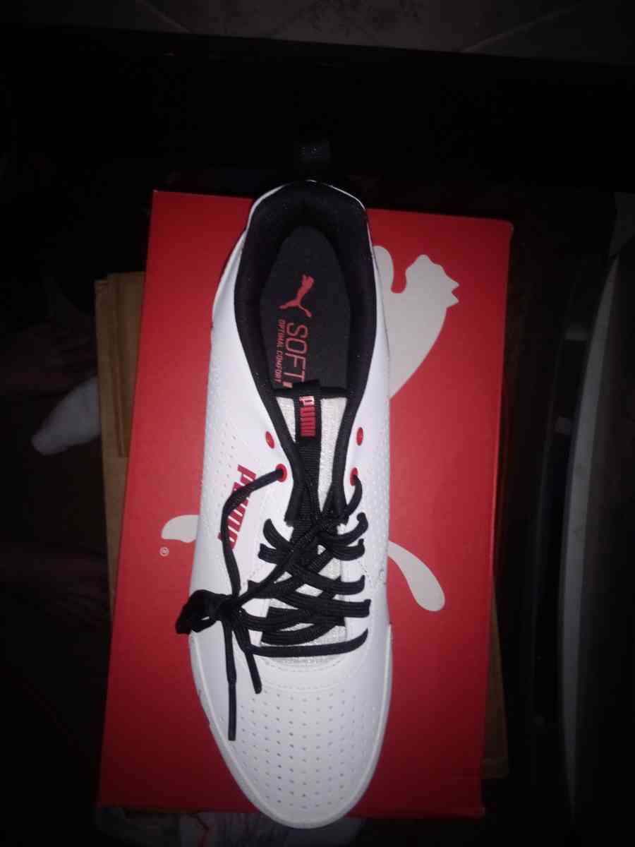 Brand New Pumas Tazon Advance SL Bold size 11 - Pompano Beach, Florida