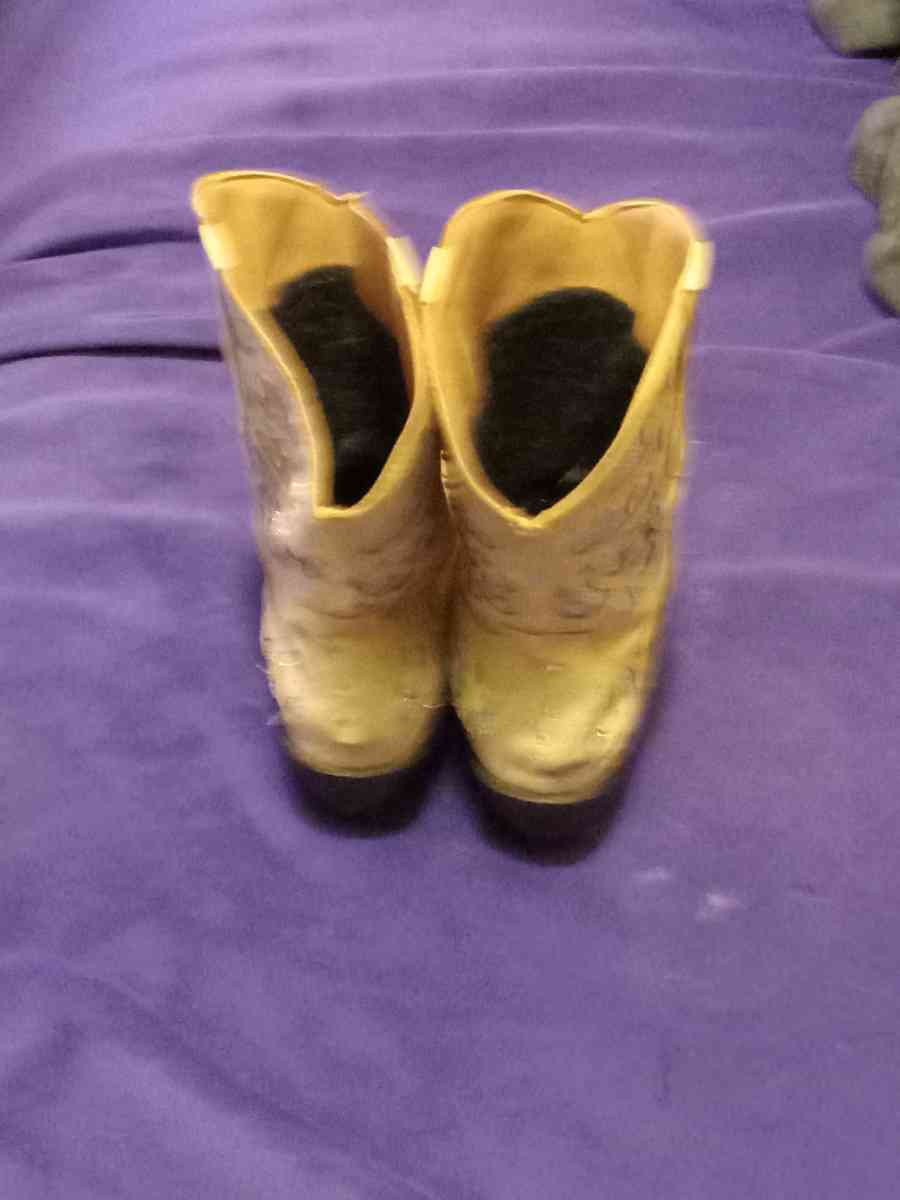 Dingo womens boots - Roswell, New Mexico - FleaMarketBay