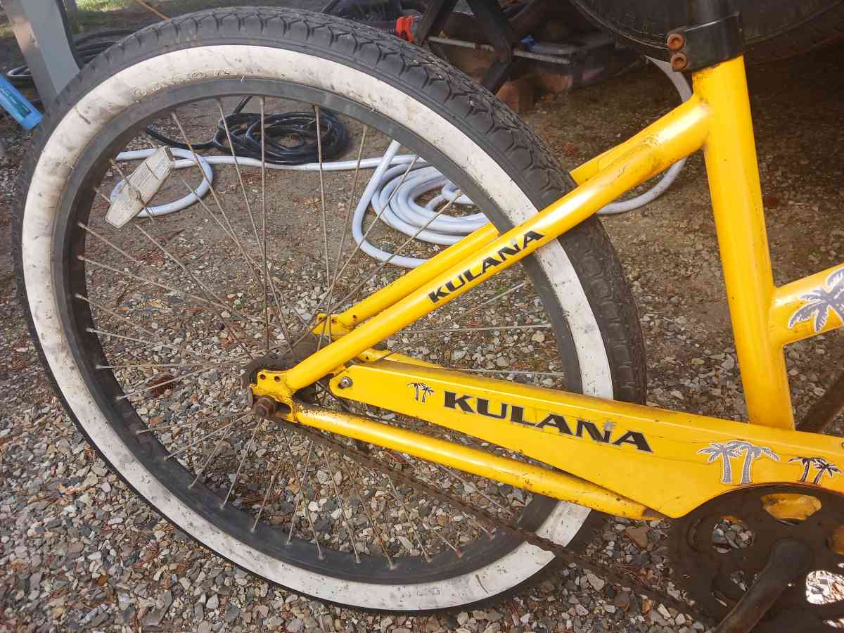 Pacific Kulana lua Tandem bike - Long Beach, Washington - FleaMarketBay