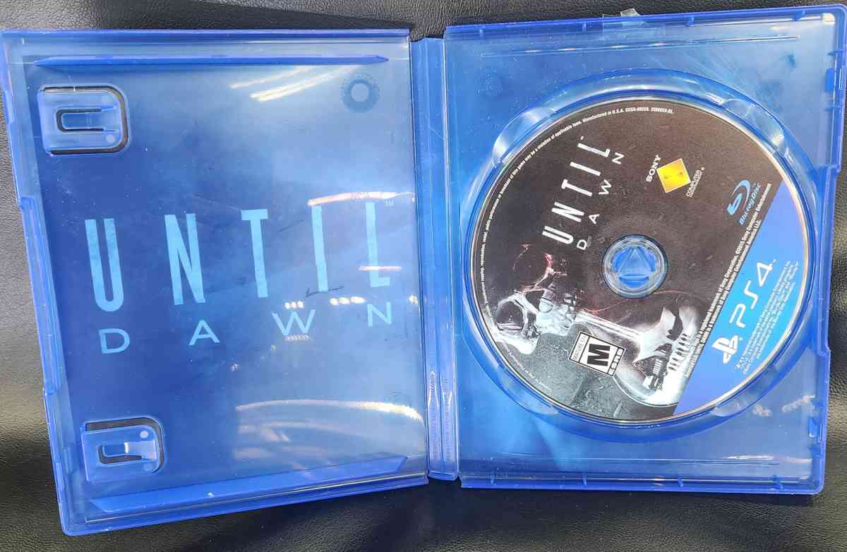 Until Dawn - Bronx, New York - FleaMarketBay