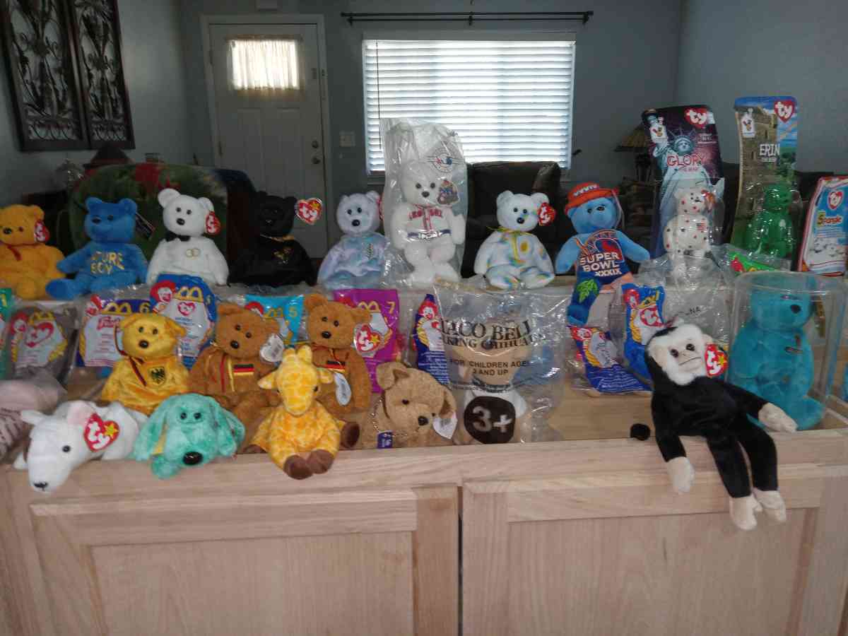 Beanie baby collection and NASCAR collection - Orange Park, Florida - FleaMarketBay
