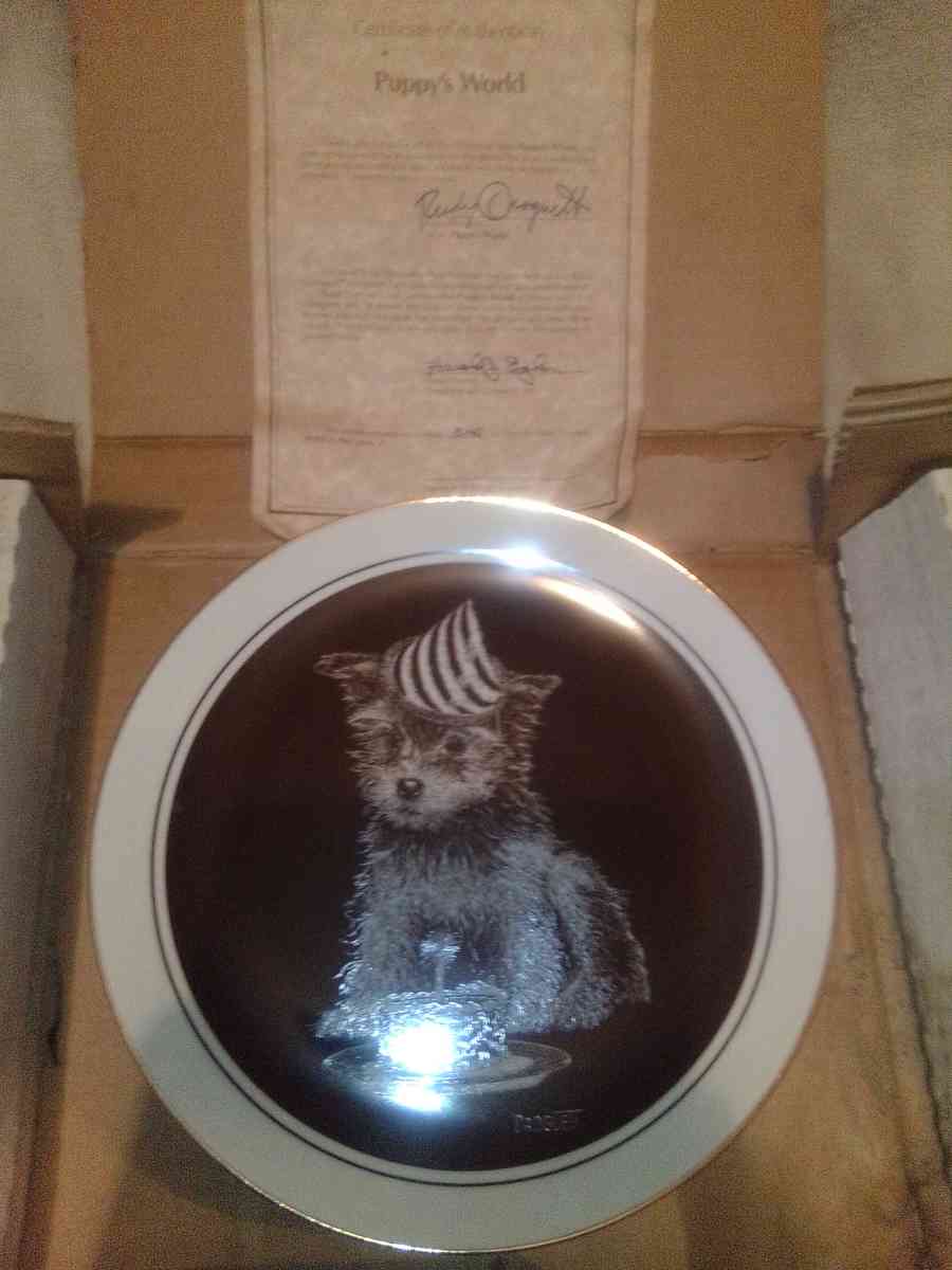 Droguett First Birthday Puppys world collectible Plate - Lititz, Pennsylvania - FleaMarketBay