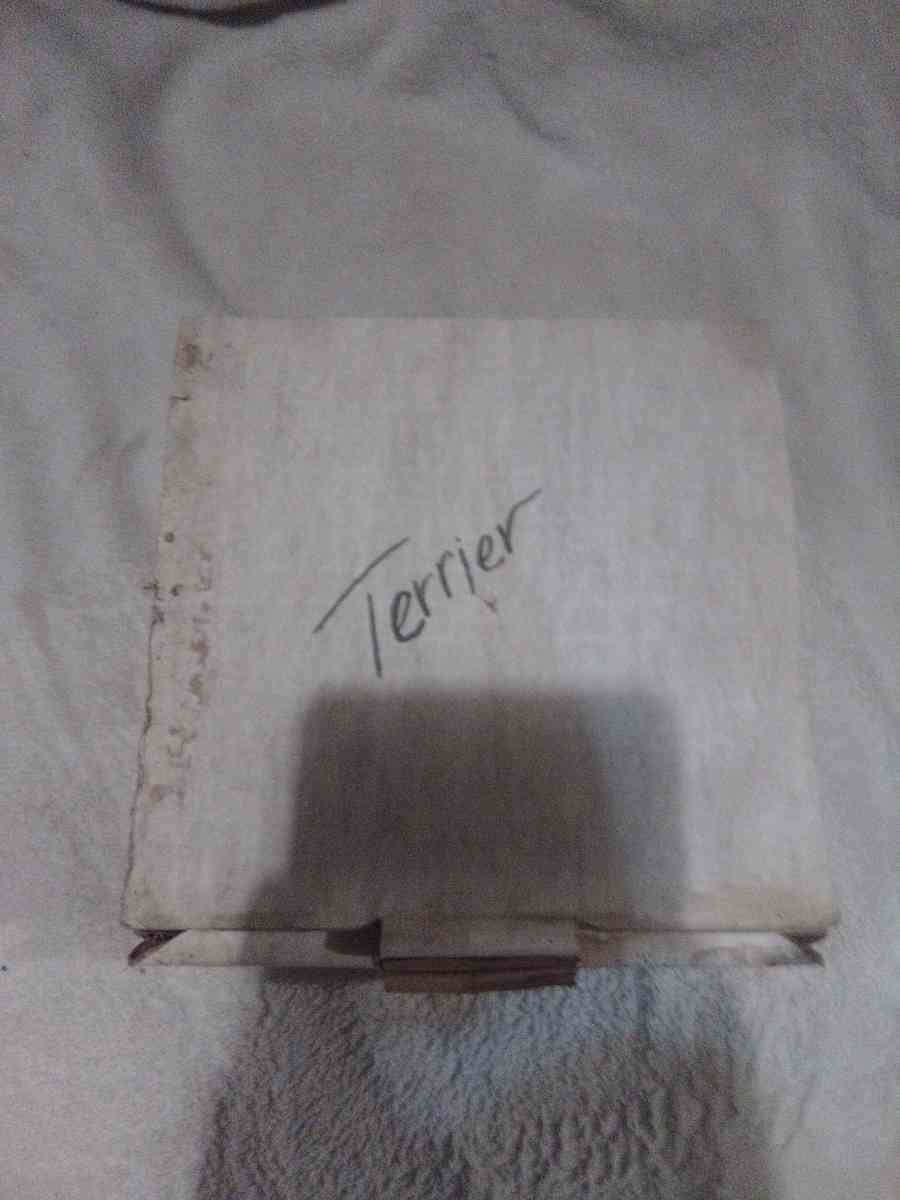 Droguett First Birthday Puppys world collectible Plate - Lititz, Pennsylvania - FleaMarketBay