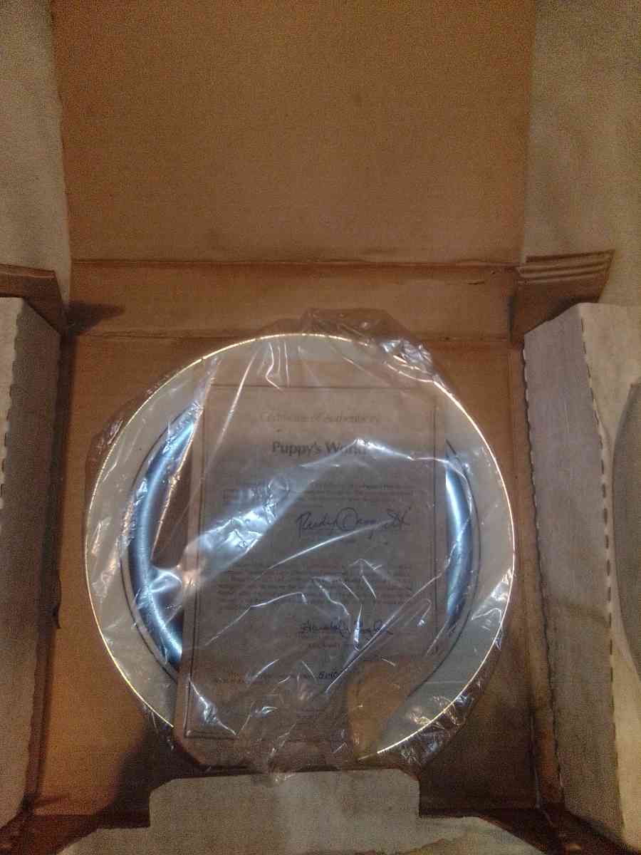 Droguett First Birthday Puppys world collectible Plate - Lititz, Pennsylvania - FleaMarketBay