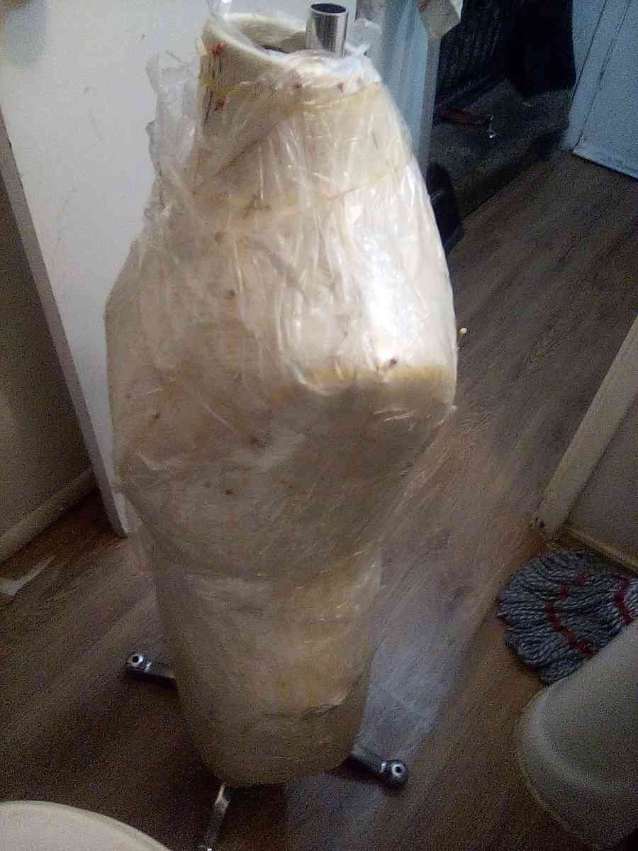 Female Dress Form Mannequin - Phoenix, Arizona - FleaMarketBay