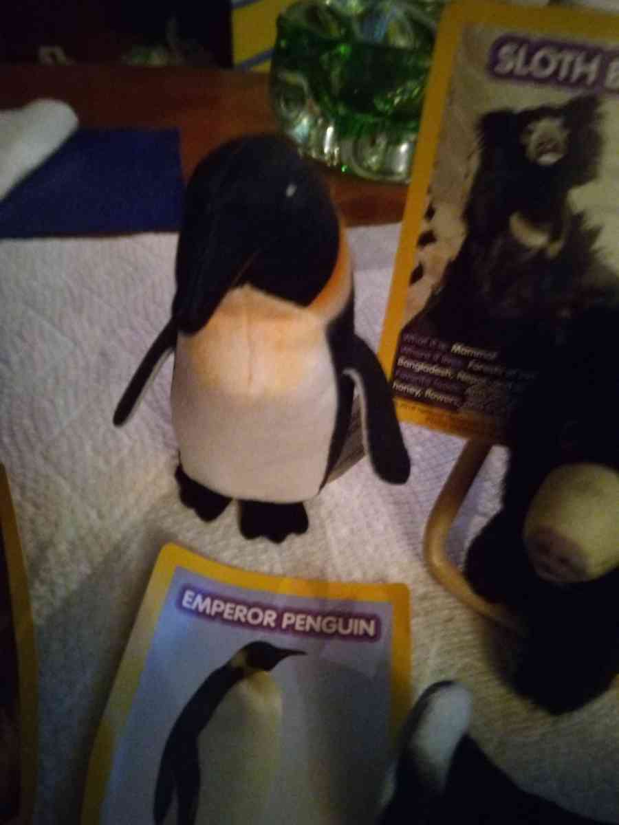 5 National Geographic Kids plush toys - Pawtucket, Rhode Island - FleaMarketBay