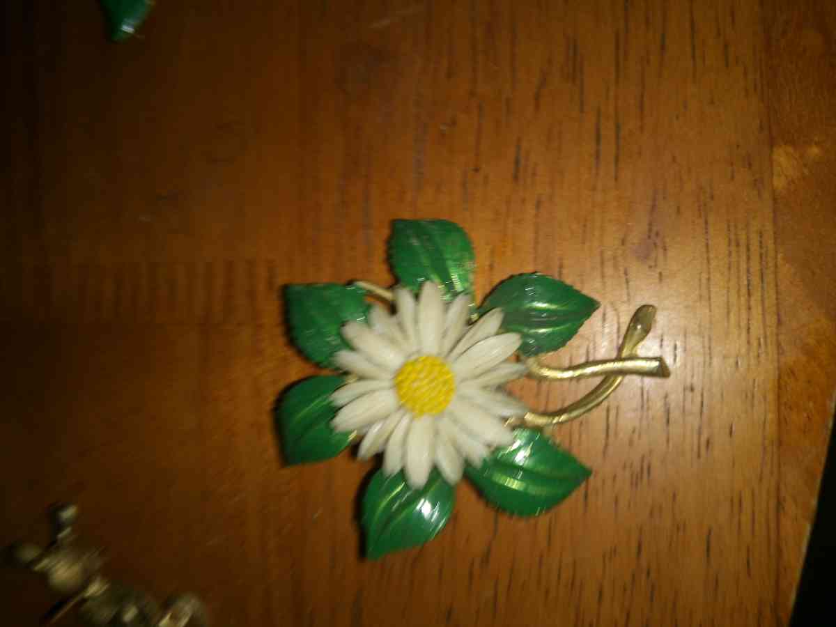 5 1950s 60s Lucite and ename Flower Pins - Pawtucket, Rhode Island - FleaMarketBay