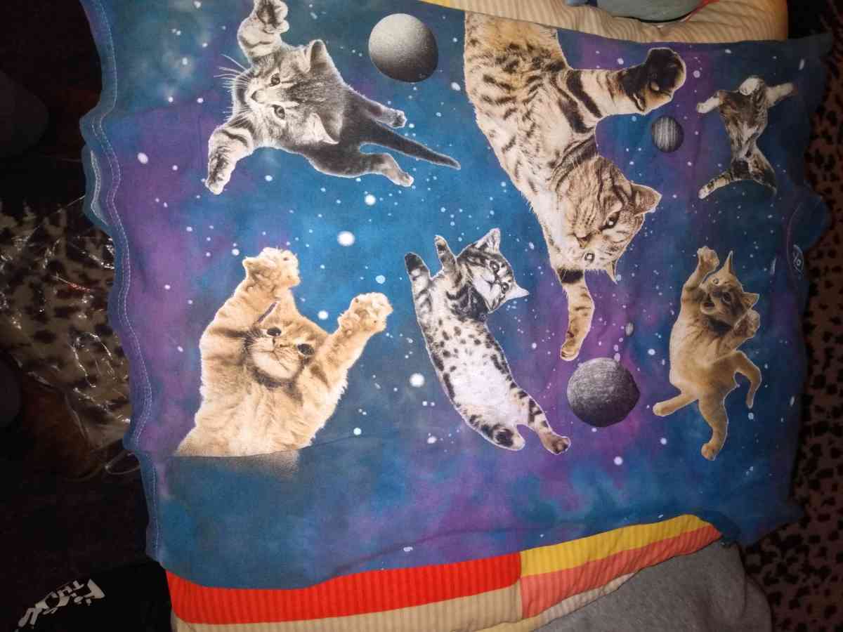 CATS IN SPACE TSHIRT - Mill Creek, Washington