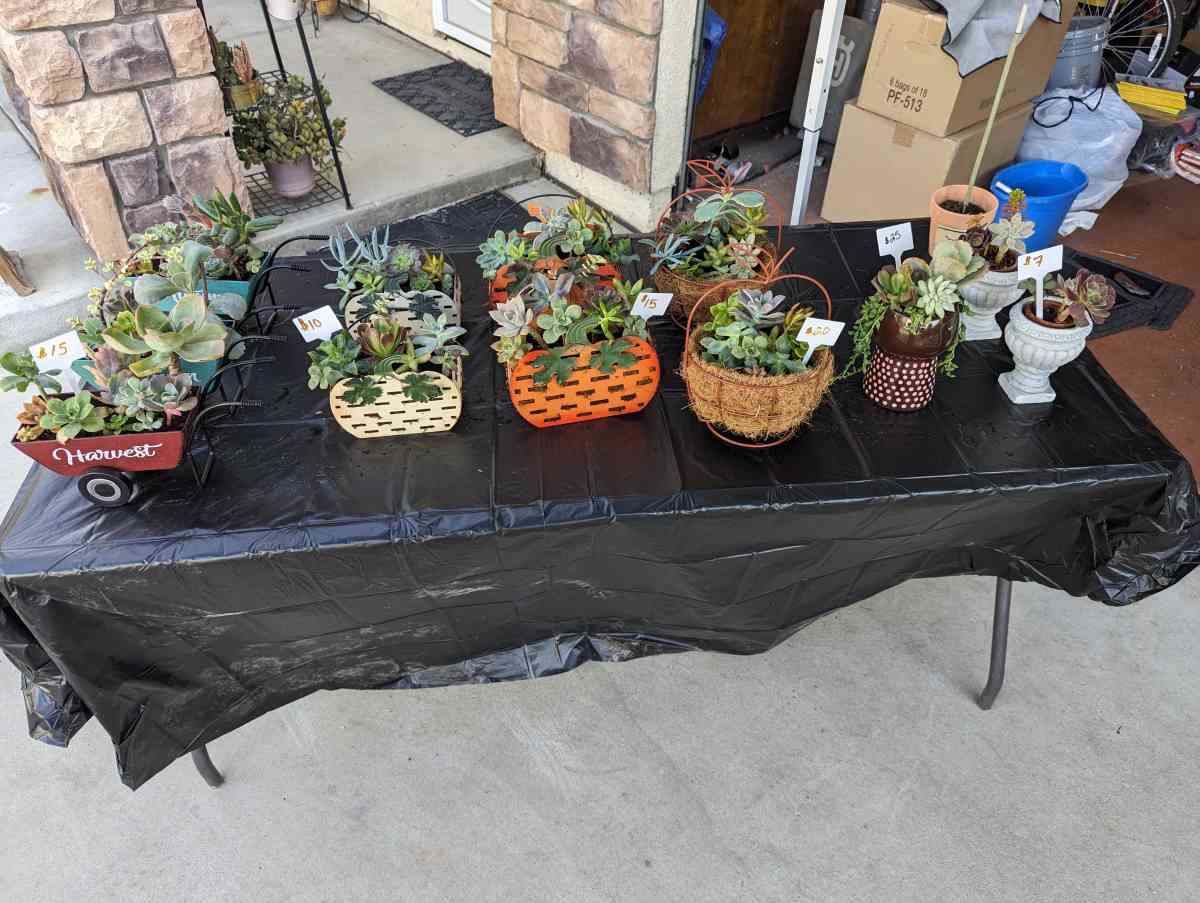 Plants and Arrangements - Porterville, California